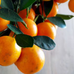 ¿Conocías los beneficios de la cáscara de mandarina para el pelo?